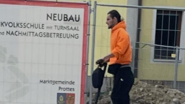 Unbekannter Prottes