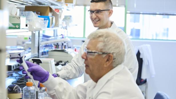 46-219478933 46-219478933