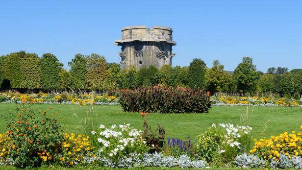 Der Flakturm im Augarten inmitten einer blühenden Wiese. 