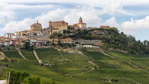 Langhe vineyards near La Morra,  Piedmont, Italy