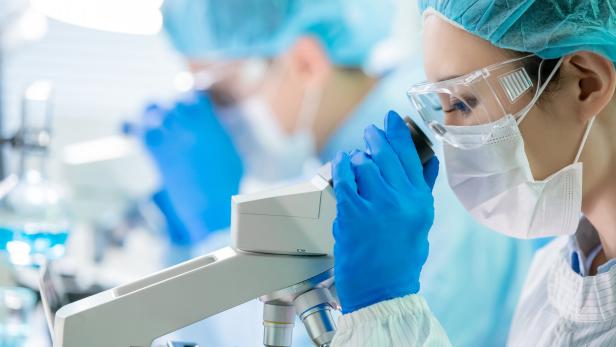 46-219279080 Person in Schutzkleidung und blauen Handschuhen blickt in ein Mikroskop im Labor.