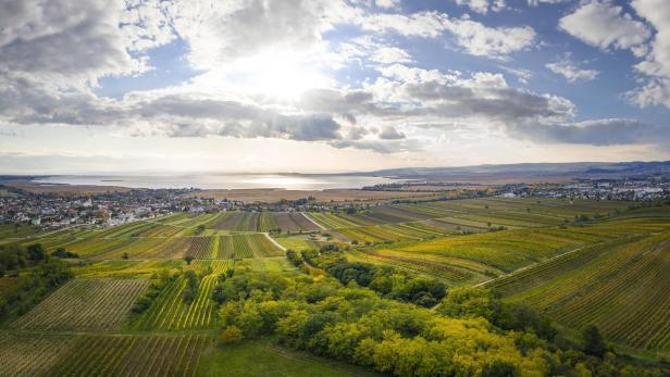 46-219608651 Landschaft in der Region Neusiedler See