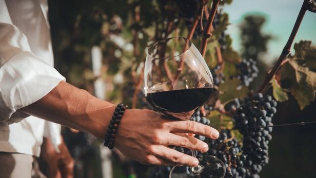 46-219608650 Mit Wein werden im Burgenland lukrative Geschäfte gemacht.