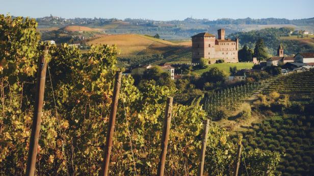 Sunset in autumn, during harvest time, at the castle of Grinzane Cavour, surrounded by the vineyards of Langhe, the most importan wine district of Italy