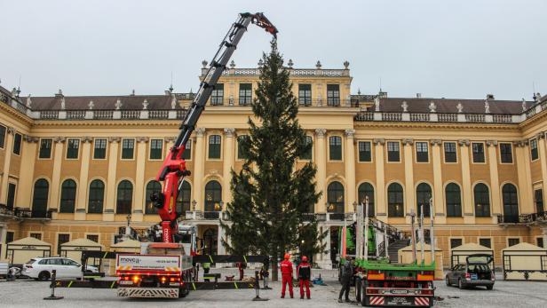 ++ HANDOUT ++ WIEN: WEIHNACHTSBAUM VOR SCHLOSS SCHÖNBRUNN AUFGESTELLT ++ HANDOUT ++ WIEN: WEIHNACHTSBAUM VOR SCHLOSS SCHÖNBRUNN AUFGESTELLT