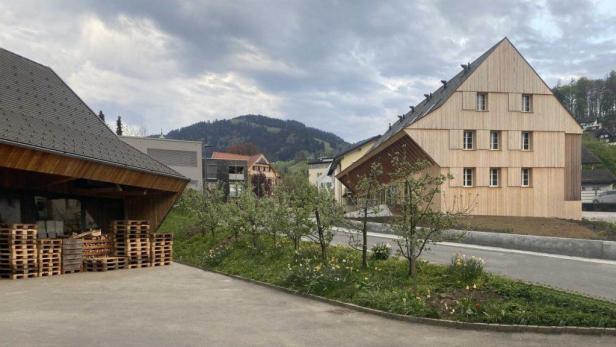 01-Ernas-Haus-Ludescher-Lutz-1024x576 01-Ernas-Haus-Ludescher-Lutz-1024x576