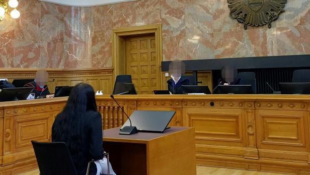 PROZESS "LAUT ANKLAGE FRAUEN VON KOLUMBIEN ZUR ILLEGALEN PROSTITUTION NACH ÖSTERREICH GELOCKT: SIEBEN BESCHULDIGTE" PROZESS "LAUT ANKLAGE FRAUEN VON KOLUMBIEN ZUR ILLEGALEN PROSTITUTION NACH ÖSTERREICH GELOCKT: SIEBEN BESCHULDIGTE"