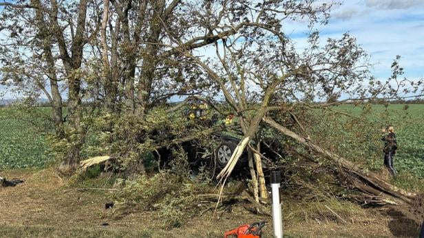 46-219691048 Ein Auto ist gegen einen Baum gefahren und von Ästen bedeckt, während Einsatzkräfte vor Ort sind.