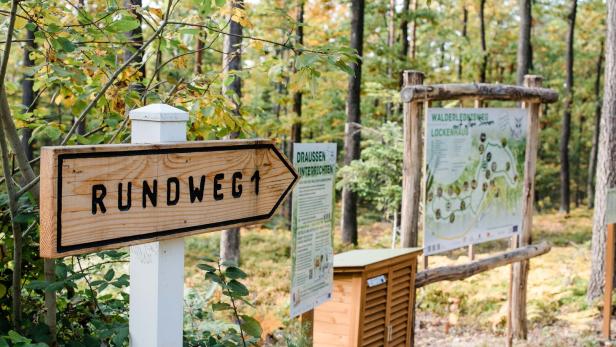 46-219479239 Ein hölzernes Wegweiser-Schild mit der Aufschrift „Rundweg 1“ steht an einem Waldweg neben Informationstafeln.