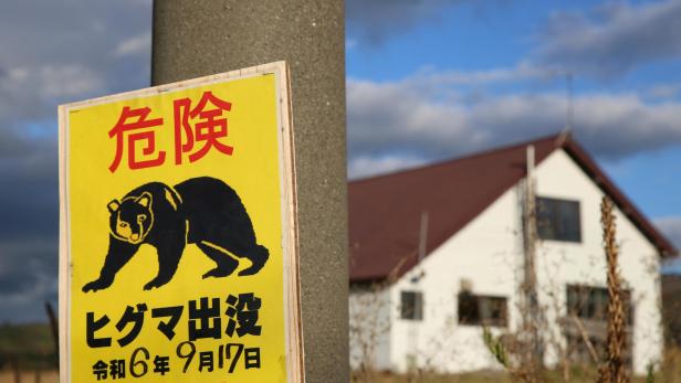 Bärenattacken häufen sich: Wieder ein Toter, mehrere Verletzte