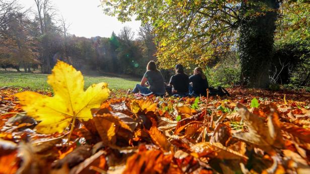 Herbst auf der Schwäbischen Alb Herbst auf der Schwäbischen Alb
