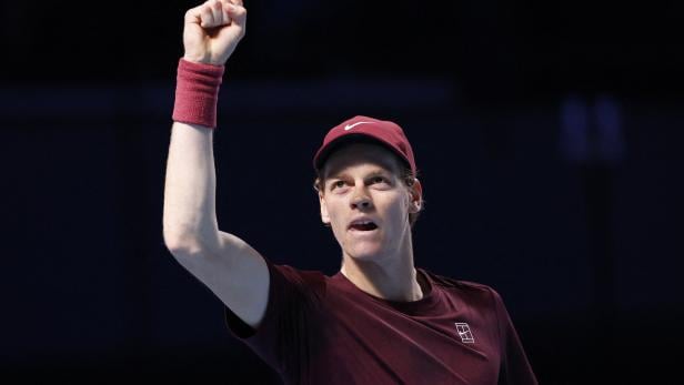 ATP 500 - Vienna Open Sinner is the Winner