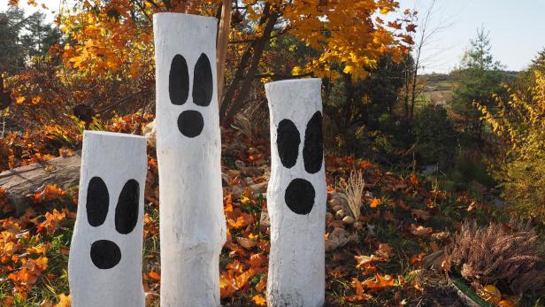 Herbstszenerie: Laub und mit Geistermotiv bemalte Baumstämme
