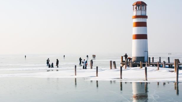 46-219781184 Eislaufen am Neusiedler See