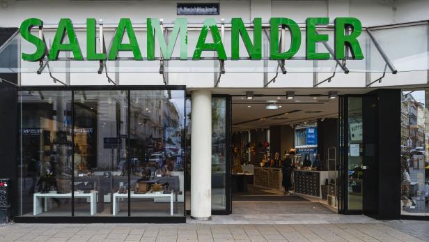 Salamander