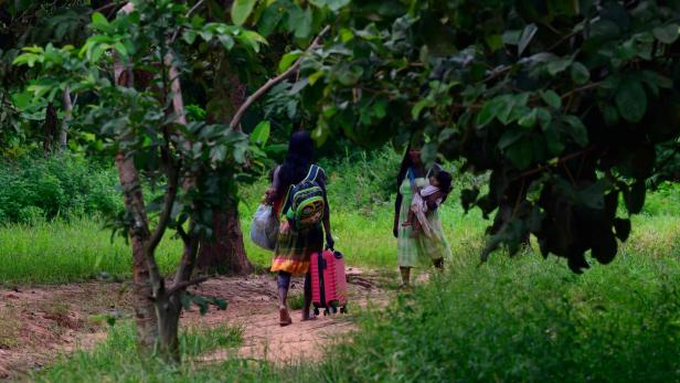 BRAZIL-UN-COP30-ENVIRONMENT-MINING-DEFORESTATION BRAZIL-UN-COP30-ENVIRONMENT-MINING-DEFORESTATION