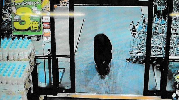 JAPAN-ATTACK-BEAR-ANIMAL JAPAN-ATTACK-BEAR-ANIMAL