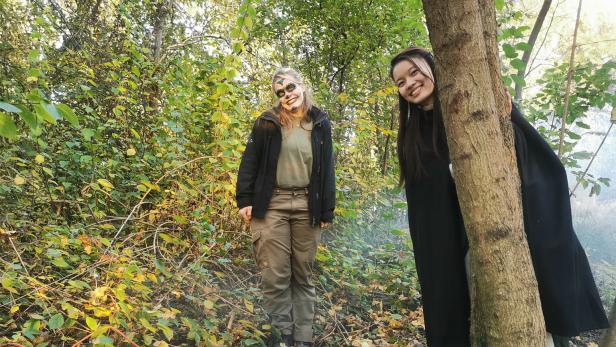 Halloween im schlossORTH Nationalpark-Zentrum