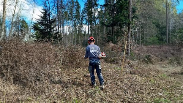 Kilian Zierer GH verbindet Spezialbaumfällung mit moderner Gartenpflege und nachhaltigen Grünraum-Lösungen. Kilian Zierer GH verbindet Spezialbaumfällung mit moderner Gartenpflege und nachhaltigen Grünraum-Lösungen.