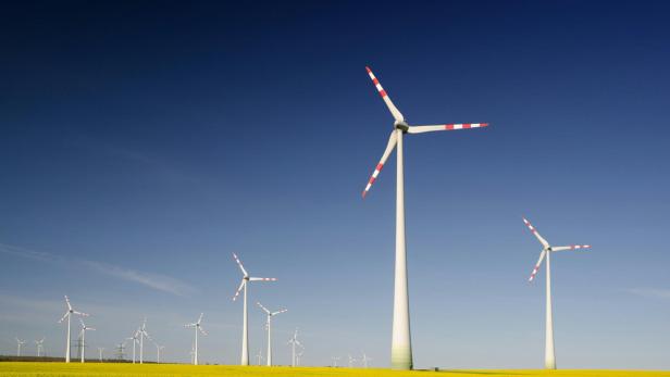 Windräder über einem gelben Blumenfeld unter blauem Himmel.