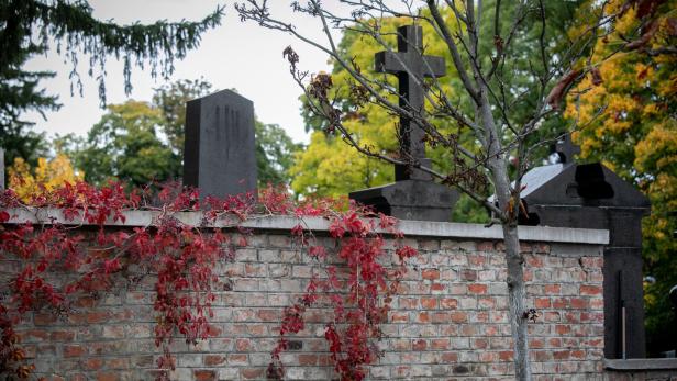 46-219478026 Eine Ziegelmauer mit rotem Weinlaub und Grabsteinen im Hintergrund.