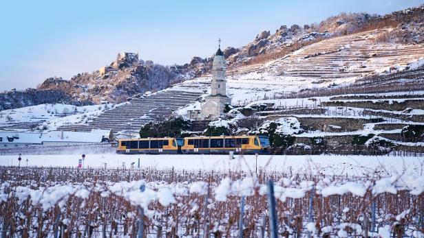 Eine Aufnahme der Wachauerbahn, die durch verschneite Weinberge fährt.