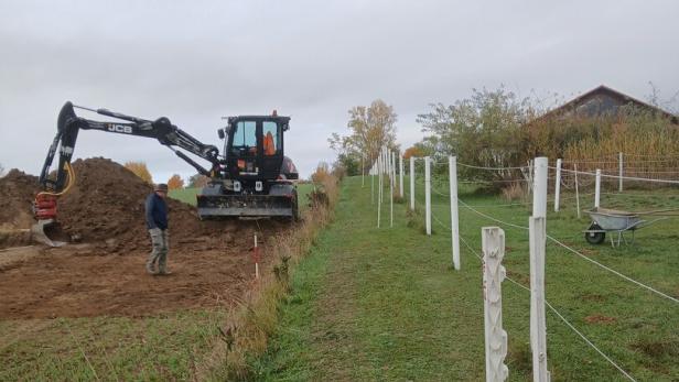 46-219781509 Ein Bagger hebt Erde aus, während ein Mann daneben steht und ein eingezäunter Grasweg vorbeiführt.