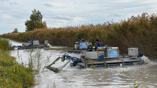 Arbeiten in den Kanälen durch die Seemanagement Burgenland GmbH 