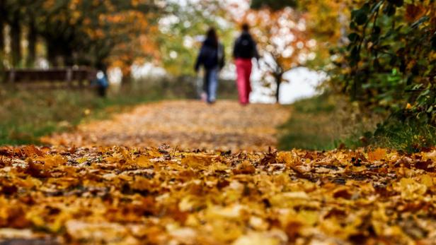 Zwei Spaziergänger in herbstlicher Landschaft.