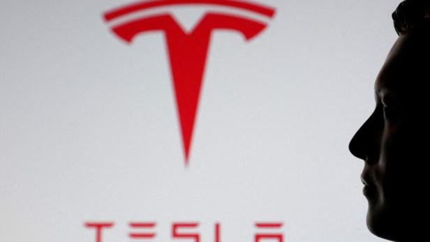 FILE PHOTO: Illustration shows 3D printed miniature model of Elon Musk and Tesla logo