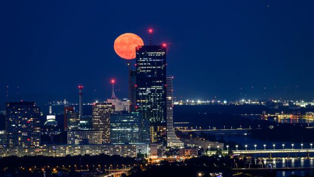 ++ THEMENBILD ++ WIEN: ERDBEERMOND / VOLLMOND