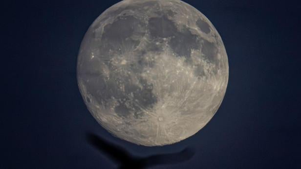 Vollmond am Nachthimmel mit dem Schatten eines fliegenden Vogels im Vordergrund.
