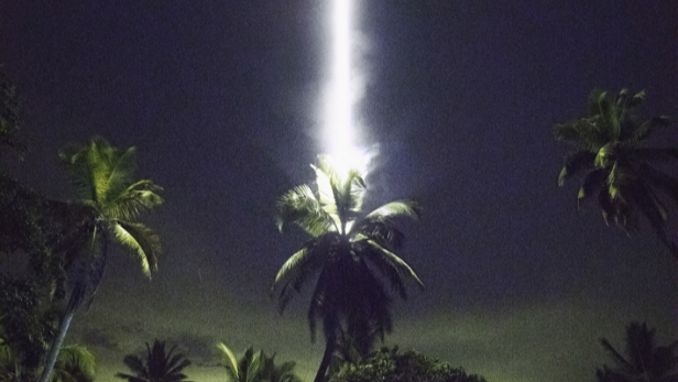 Mehrere Palmen bei Nacht, eine in der Bildmitte wird von einem hellen, senkrechten Lichtstrahl durchleuchtet.