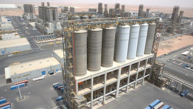 FILE PHOTO: General view of the Borouge petrochemical facility at ADNOC's Ruwais Industrial Complex in Ruwais