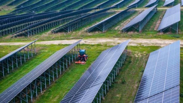 Auf einer Wiese stehen viele Reihen von Solarmodulen, und ein Traktor mäht das Gras.