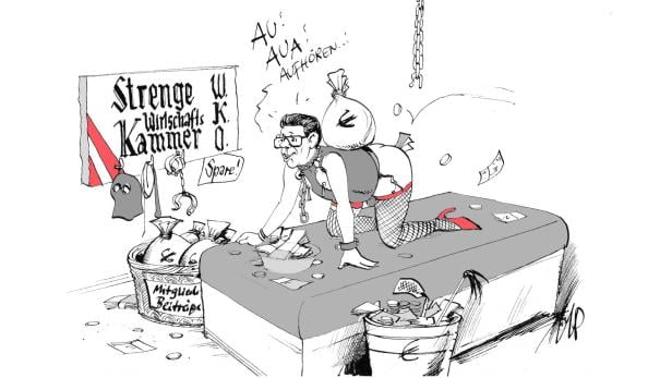 Karikatur von Michael Pammesberger.