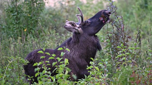 Quiz: Beherrschen Sie die Rechtschreibung mit links?