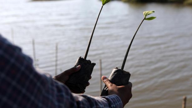 Pazifikstaaten erhöhen Druck vor COP30: „Ausstieg aus fossilen Energien jetzt“