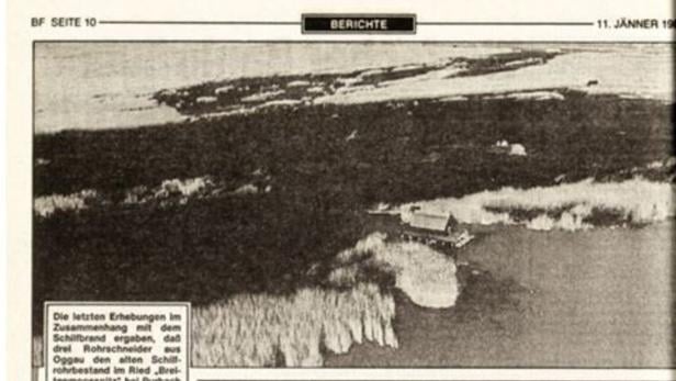 Luftaufnahme eines großen Schilfgürtels an einem Gewässer, dazu ein Artikel über einen Brand im Schilfgebiet.