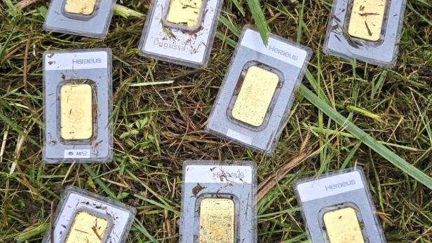 Goldbarren in Plastik eingeschweißt liegen auf einer Wiese
