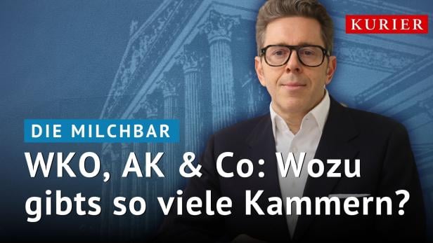 WKO, AK & Co: Wozu gibts so viele Kammern?