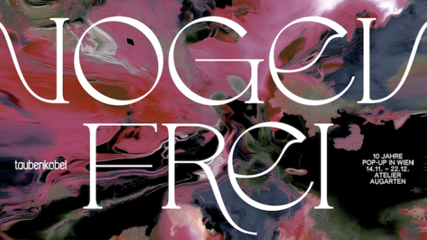 Der taubenkobel ist wieder in Wien: Zum Jubiläum gibt es einen Höhenflug.