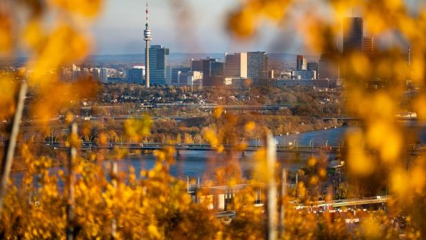 ++ THEMENBILD ++  WIEN / TOURISMUS / HERBST / WETTER / DONAUTURM / DONAUPLATTE / DONAU / DONAU CITY