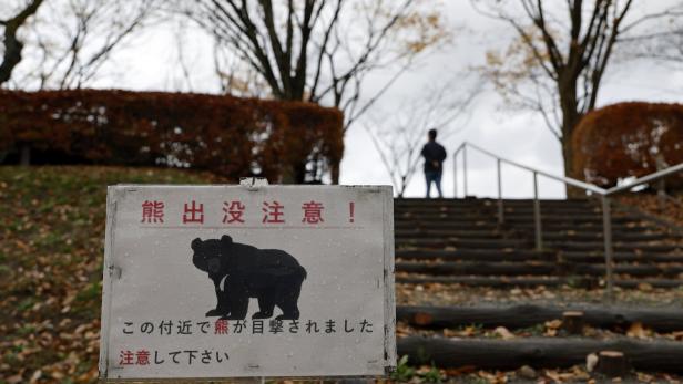Warnschild mit Bärenabbildung und japanischem Text steht vor einer herbstlichen Treppe, im Hintergrund eine Person.