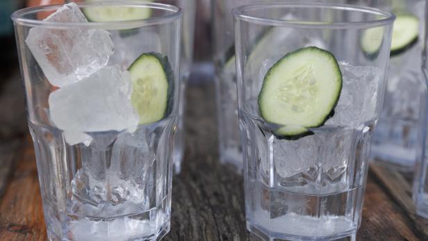 Ginverkostung im Palais Freiluft