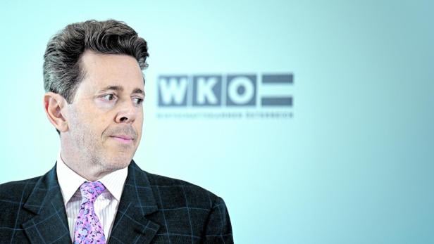 Reaktionen zum Mahrer-Rücktritt: "Es ist Feuer am Dach"