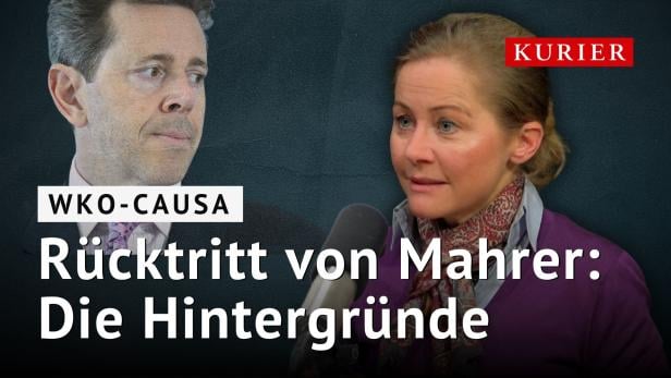 WKO-Causa: Rücktritt von Harald Mahrer - Die Hintergründe