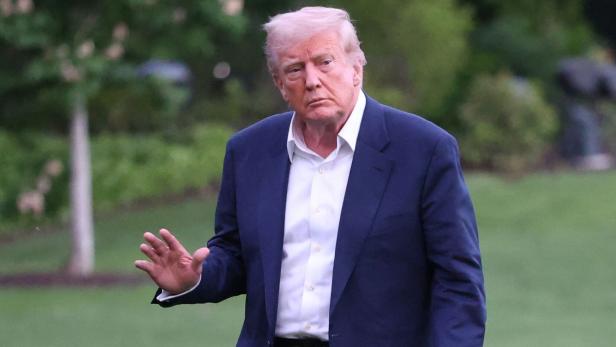 Donald Trump in blauem Anzug winkt vor grünem Hintergrund.