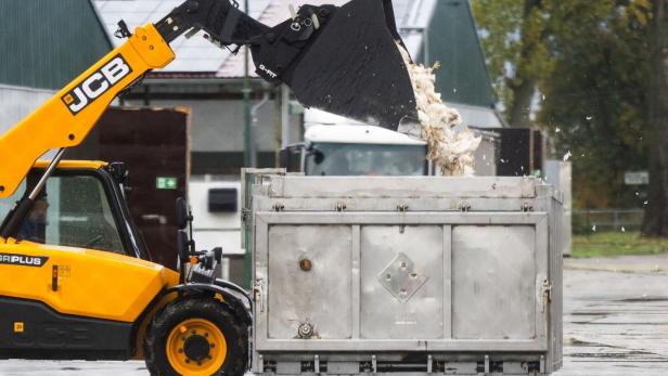 Vogelgrippe in Brandenburg