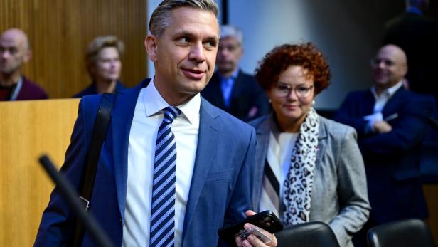 NATIONALRAT: HATTMANNSDORFER / ZEHETNER